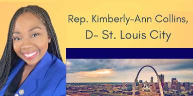 Rep Collins Banner 1