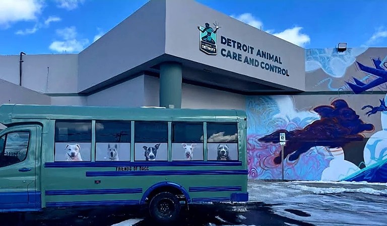 Campus Stabbing, Mall Shooting Arrests, and 40 Dogs Rescued: Detroit’s Week In Review
