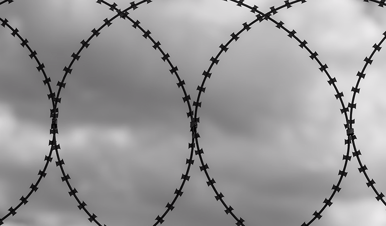 Mass Incarceration in the United States: A Legacy of Racial Oppression and Profit-Driven Detention