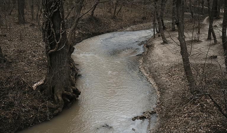 Logan Circle Homicide, Potomac Sewage Spill, and the Lunar New Year: D.C.’s Week In Review