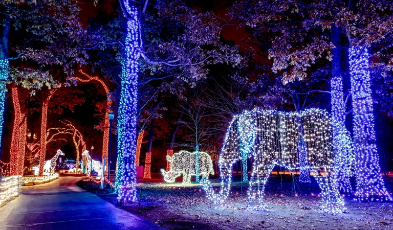 Things To Do In Detroit: Zoo Lights, Artists and Motown