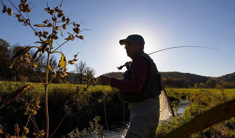 Pest or ally? Debate over beavers in Wisconsin has wildlife advocates weighing how to coexist