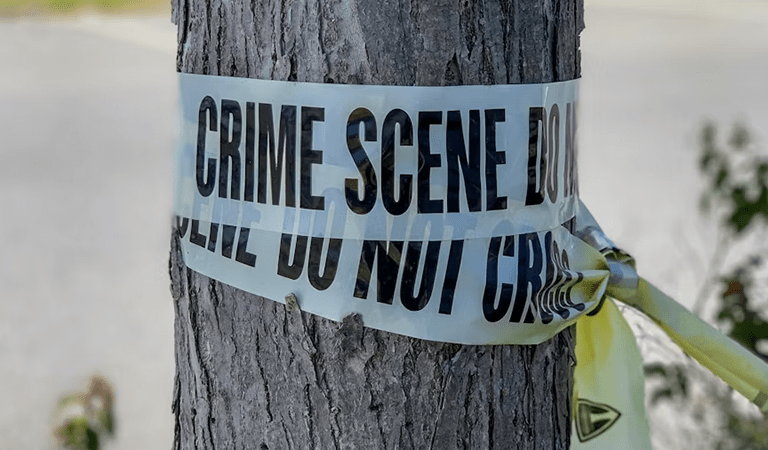 Metro East St. Louis News: Homicide Drop, Monsanto Lawsuit Dismissal, and Vision Zero Safety Plan