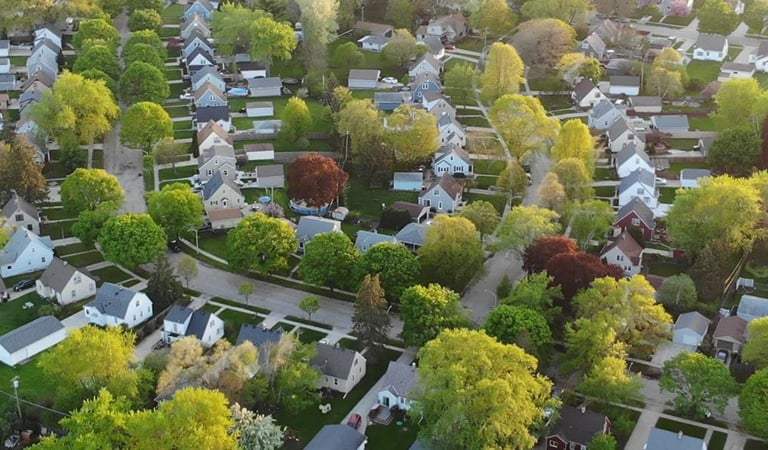 East St. Louis Business Services: A Guide to Local Growth