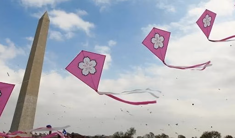 Things To Do In D.C.: The Blossom Kite Festival, Smithsonian Crafts, and Brewery Tours