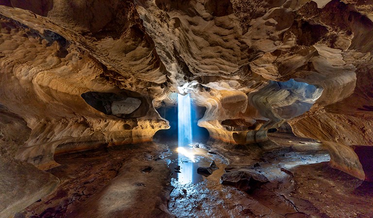 Things To Do In St. Louis: Top Missouri Attractions: Gateway Arch, City Museum, and More