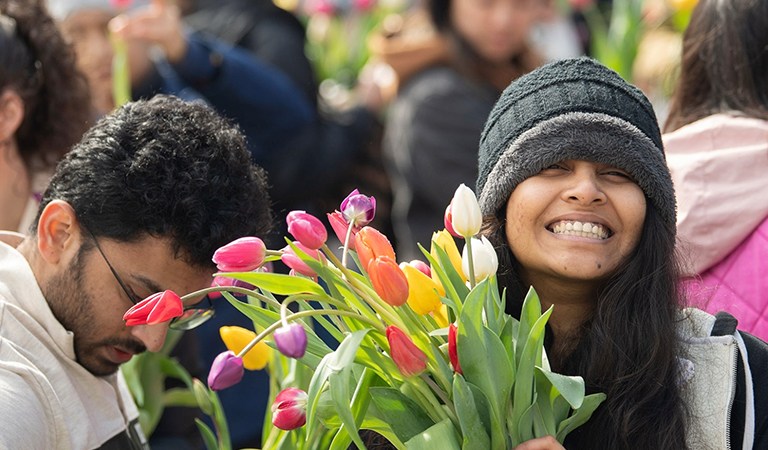 Security Concerns, Community Curfews, and National Mall Tulip Day: D.C.’s Week In Review