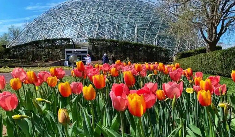 Things To Do In St. Louis: Spring in St. Louis: Gateway Arch Tours, Zoo Visits, and Stunning Botanical Garden Blooms