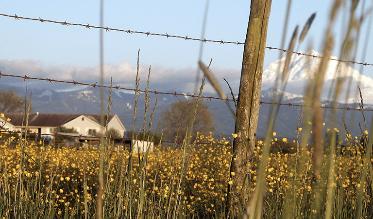 Climate experts say spring is coming earlier. How will that affect agriculture and ecosystems?