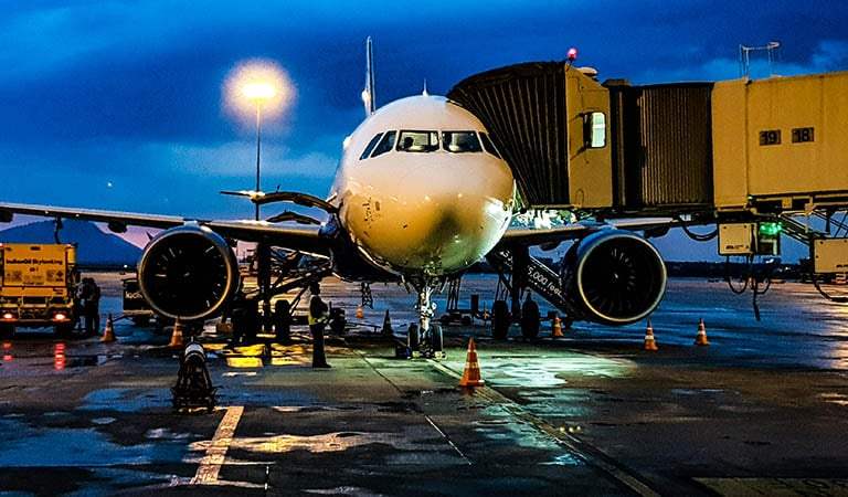 Top World News Stories: Protests Against Trump, Airline Fee Hikes and Blake Lively’s Case