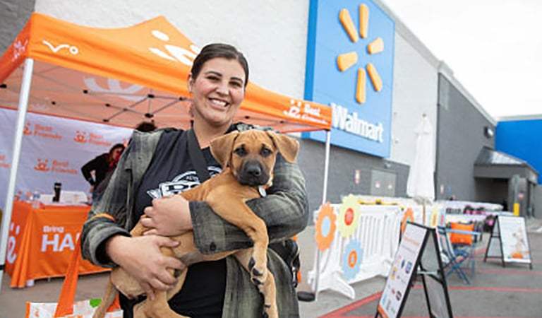 Celebrate National Pet Month with Walmart & Best Friends Animal Society – Adopt a Shelter Pet in St. Louis!