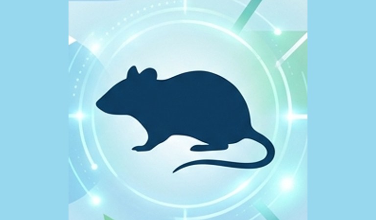 Hantavirus Outbreak: Kansas City’s Response and Safety Measures