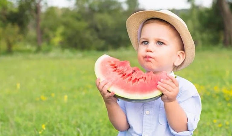 Watermelon: The $500 Billion Dollar Wonder Fruit Loved Around the World