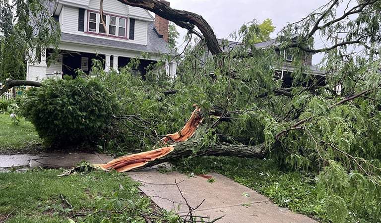 14,000 in the Dark, Hot Rods Heisted, Joliet Locked Down: Three Stories Rocking Will County: Chicagoland’s Week In Review