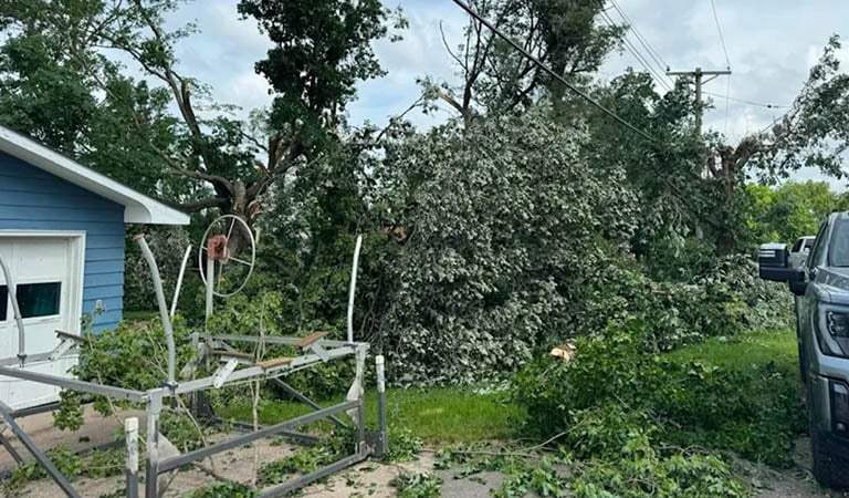From Atomic Energy to Animal Rescues: Top Greater Minnesota Headlines Expose Becker County Storm Damage and the Fight for Carbon-Free Nuclear Power.: Minneapolis and St. Paul’s Week In Review