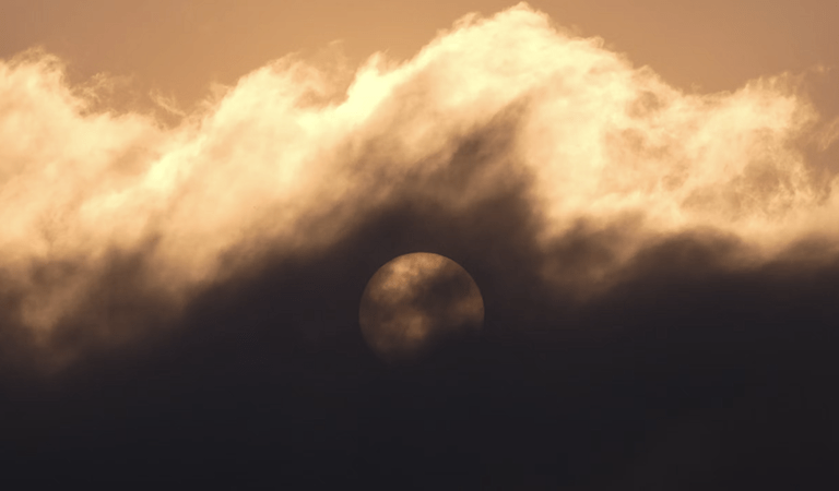Toxic Canadian Smoke, Taco Bell Parasites, and a Dead Solar Farm: Inside Chicago’s Environmental Health Crisis!: Chicagoland’s Week In Review