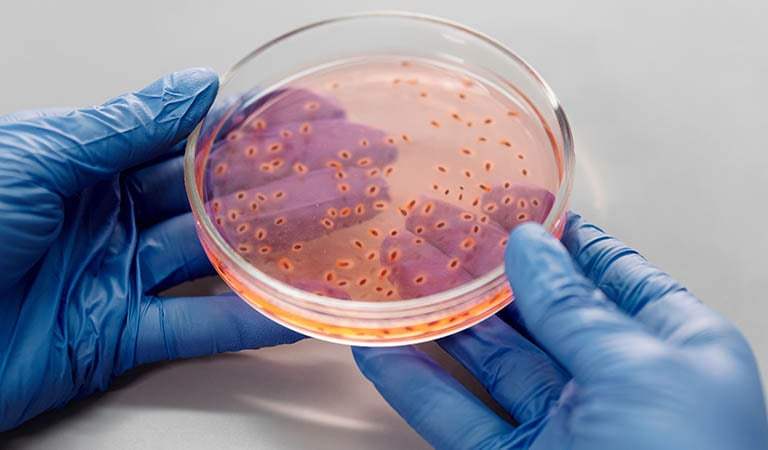 Senate Primary Shockwaves, 10,000-Case Cyclospora Crisis, and Max Clark’s MLB Debut Ignite Michigan!: Detroit’s Week In Review