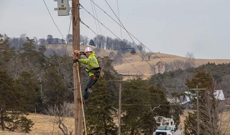 USDA Makes $486M Electric Loan to Strengthen Electric Reliability Across Georgia