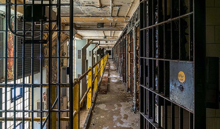 Joliet Prison Scandals, Solar Airport Rejections, and Tax Cuts Trigger Battles in Will County Governance: Chicagoland’s Week In Review