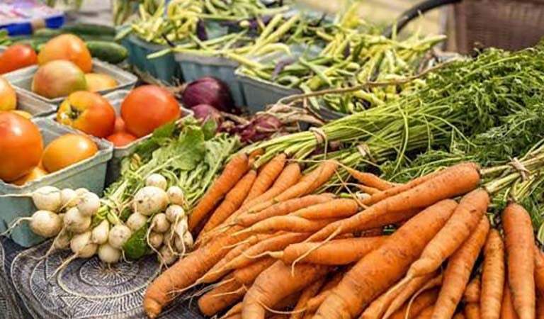 Kansas City Opens Applications for 2026 PLANT Grant Program: How Local Growers Can Secure Up to $10,000