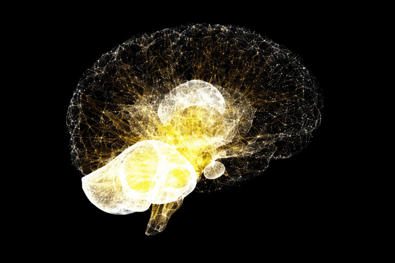 Healthy Lifestyle Habits Can Support Brain Health Throughout the Aging Process