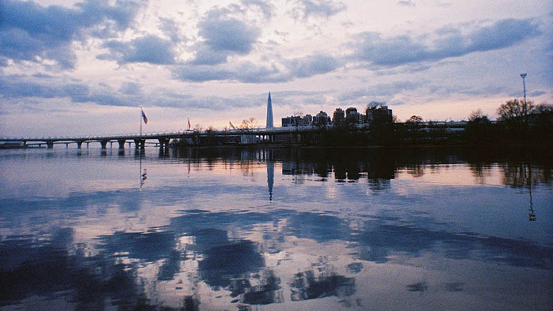 Clean shoreline view along the Anacostia River marking ecological progress in the District.