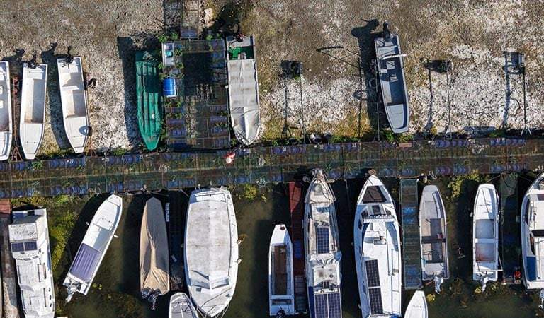 Top World News Stories: Crippling Danube Heatwave Forces Plant Closure as Out-of-Control Wildfires Rage and Brutal Odesa Strikes Hit Ports