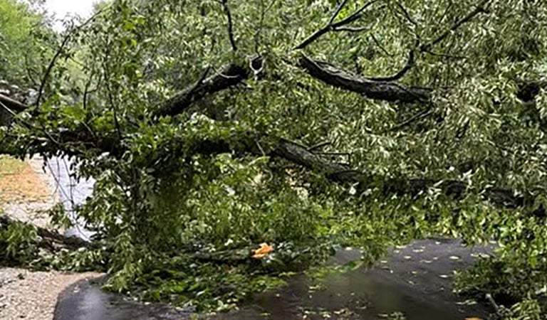 Record Derecho Aftermath Shuts Down Preserves, Forces 211 Relief, and Fuels Bears Move to Hammond: Chicagoland’s Week In Review