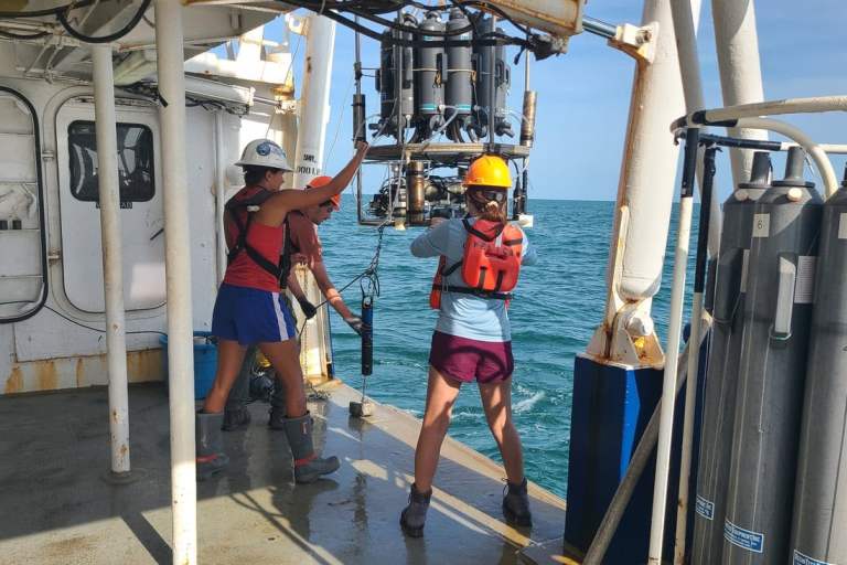 Scientists find smaller ‘dead zone’ in the Gulf than initially expected this summer