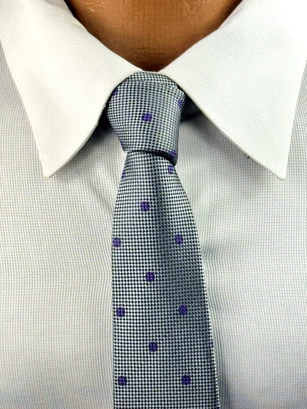Omega Gray Purple Dot Tie