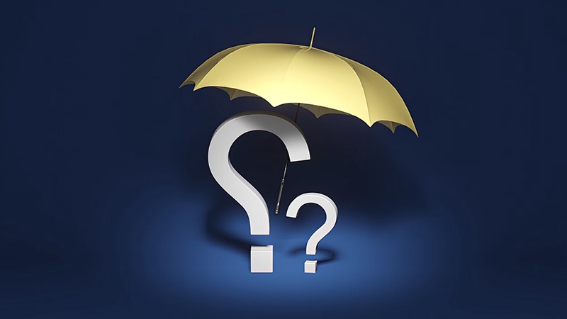 Biz Insurance Question