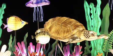 Glowing illuminated animal lantern display at the GloWild festival