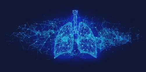 DiSC Health: Should We Use AI for Our Physical Health? Insights from UChicago Medicine