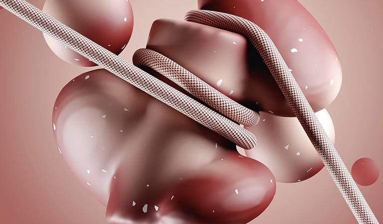 The Silent Signals: 8 Early Signs Your Kidneys Need Attention