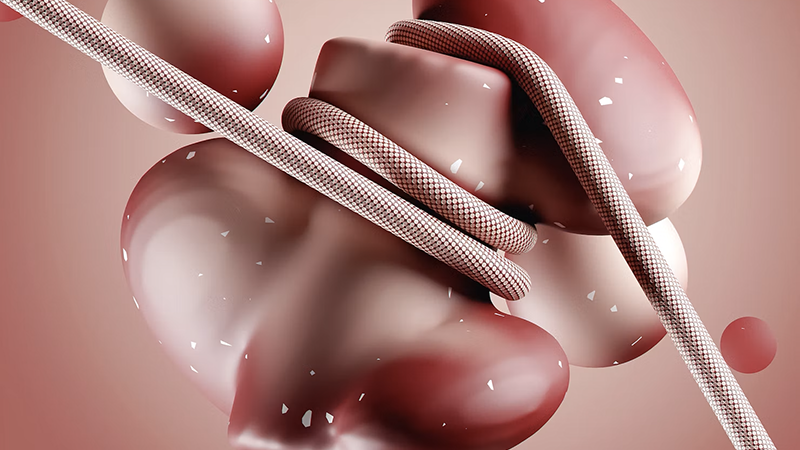 Digital 3D medical illustration representing human kidneys and renal filtration anatomy