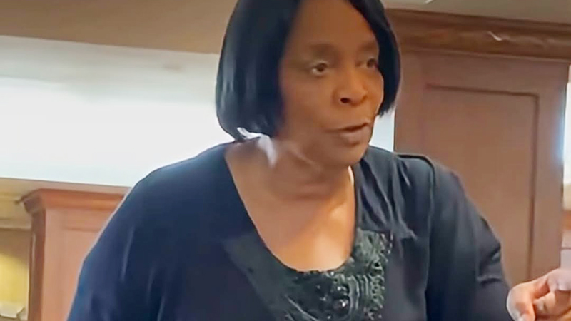 St. Louis’ Crime Chime – Don’t Play in Homer G.’s House: Alderwoman Sharon Tyus ‘ Promised Alderman Aldridge Hot Lead Over Senior Housing—Now Her Punishment is a Megan Green Censure and a Courtroom Cage Match