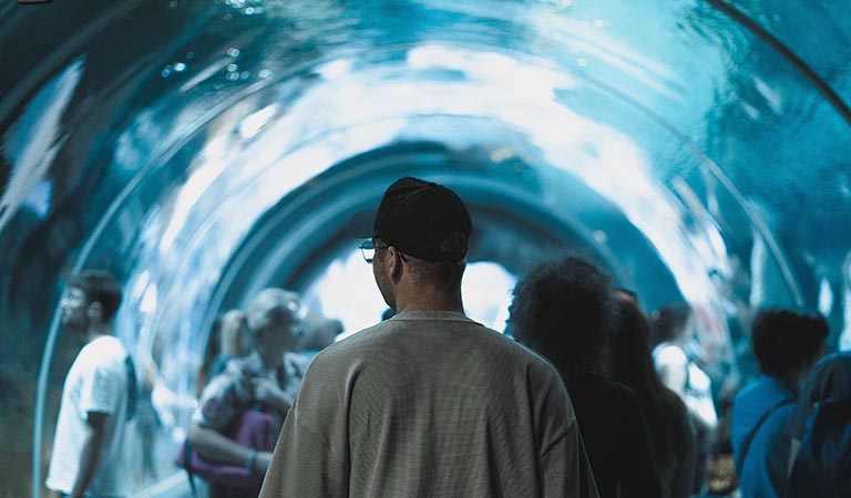 Deficits, Melted Bridges, and Dead Whales: Chicago Hits Breaking Point: Chicagoland’s Week In Review
