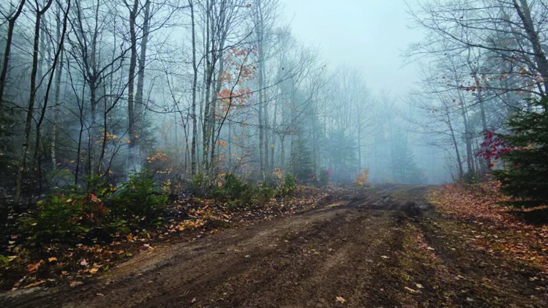 Emergency personnel and state responders coordinating vehicle positions near an active timber fire perimeter during Michigan political and civic updates.
