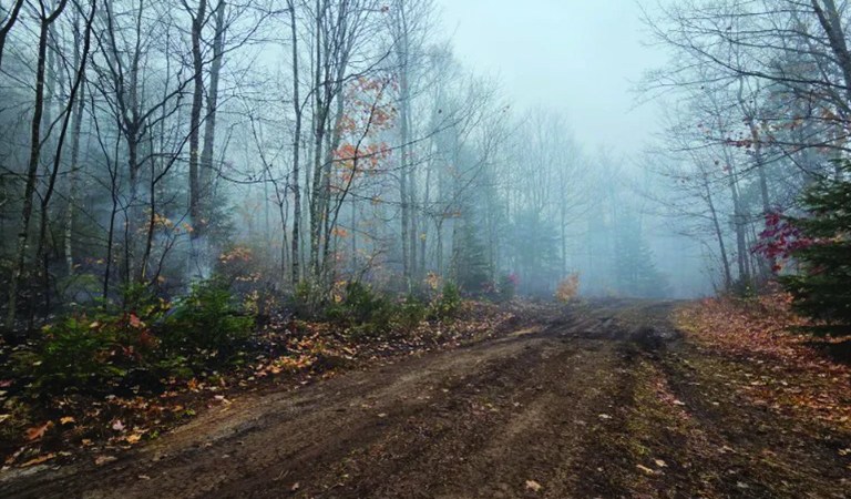 Gubernatorial Candidates At War, Police Surveillance Privacy Debates and Wildfires Grip Michigan: Detroit’s Week In Review