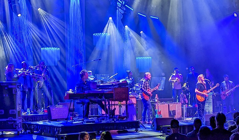 Things To Do In Chicagoland: Blues Guitars, Ghost Tours, and Moon Jellies: Why Cook County Owns Your Entire Weekend