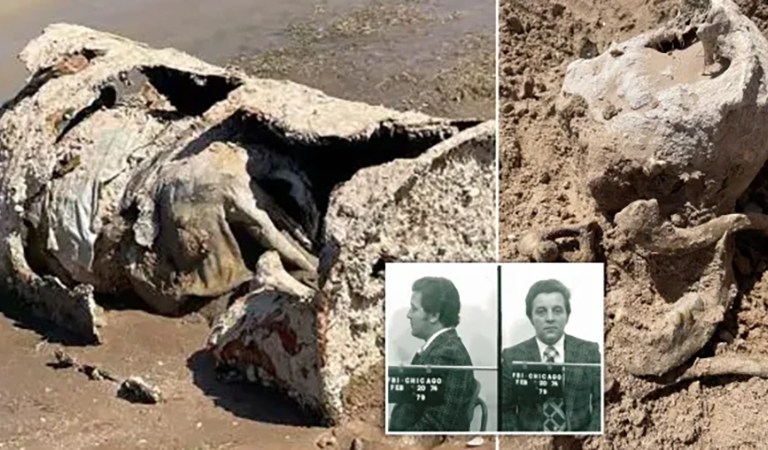 Top World News Stories: Mob Hits Uncovered in Lake Mead, Retail Cons Targeting Elders and Giant Video Game Drops Shaking Culture