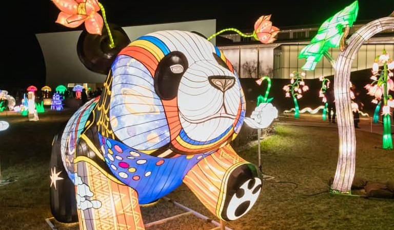Things To Do In D.C: Intoxicated Vampires, High-Stakes Canal Miles, and Free Mooncakes: The Three Unhinged Moves Redefining Washington Weekends