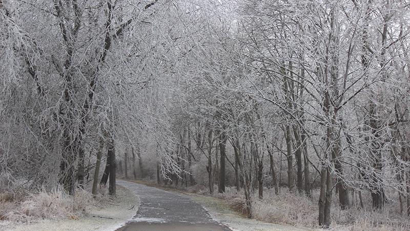 Will County news updates covering weather warnings and community developments along suburban transit corridors