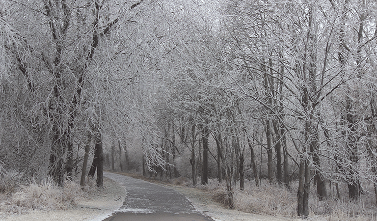 A Murder Manhunt, Wiped Healthcare Debt, and an Early Deep Freeze Just Hit Will County at Once: Chicagoland’s Week In Review