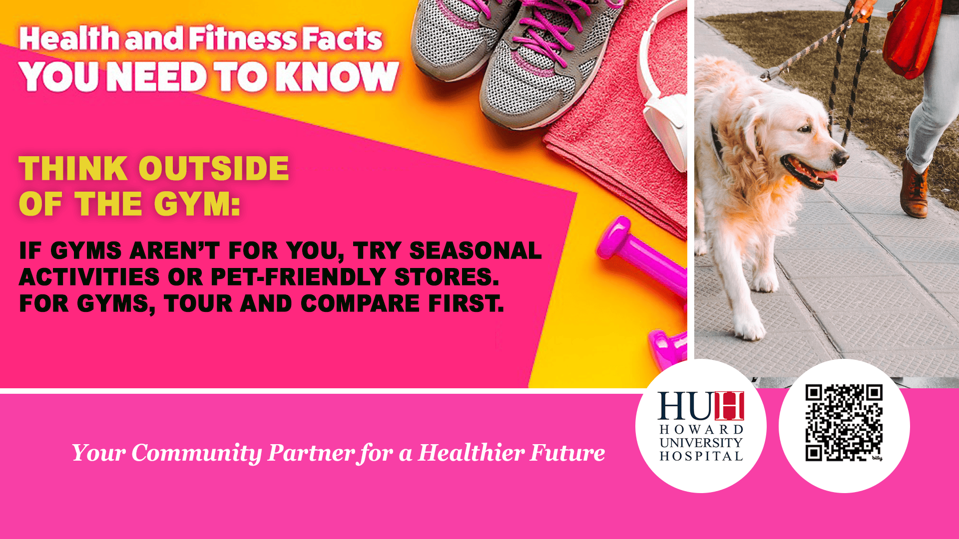 Golden retriever on a walk beside athletic shoes and dumbbells illustrating fitness options outside standard gym memberships.