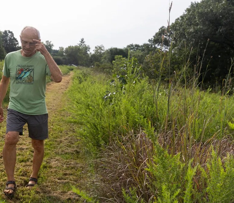 Aging farmers and the government want to save farms, but for many the cost is too high