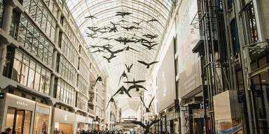 Mall Attack