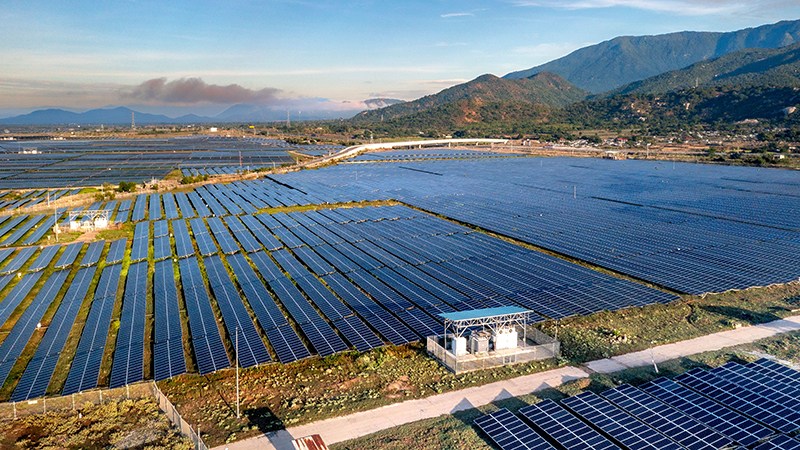 Solar Farm Op