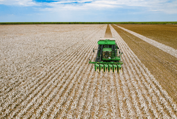 U.S. Secretary of Agriculture Brooke L. Rollins Announces New Initiatives for American Cotton Producers at Giesenschlag Farms